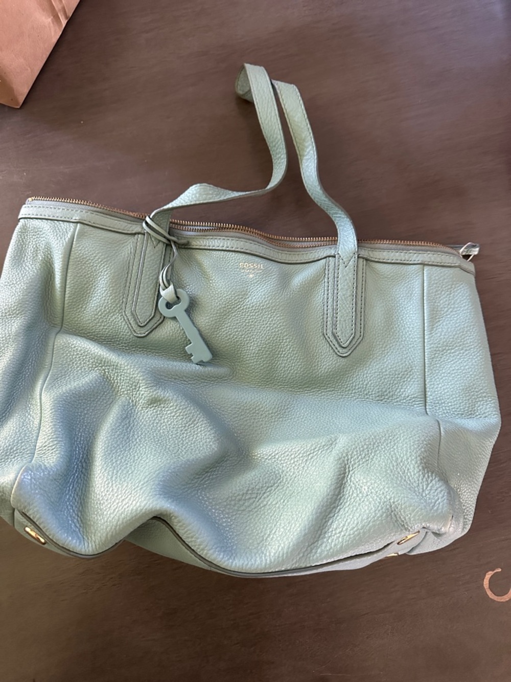 Fossil Pebbled Leather Tote in Sage Green